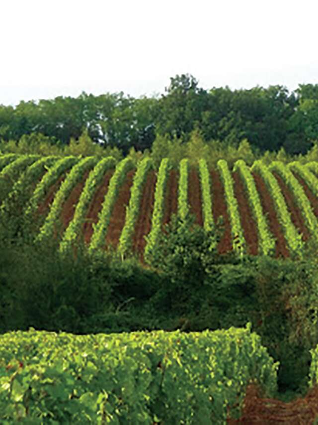 Domaine de la Renaudie