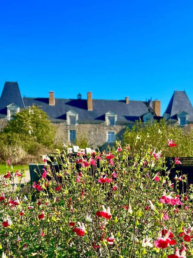 Spectacles, stages et formations au Château de Linières