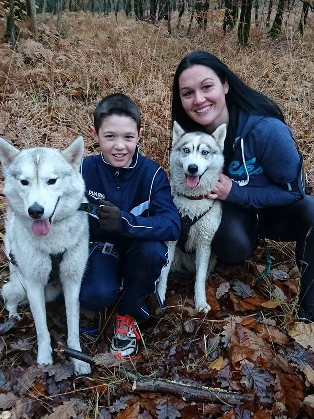 HUSKY D'ANJOU, LE MONDE DU CHIEN DE TRAINEAU