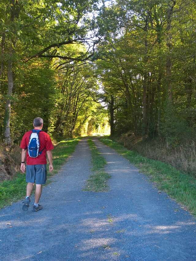 BOUCLE CIRCUIT DE MAINE EN VIGNES