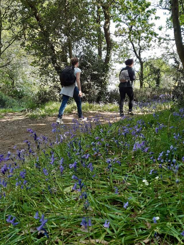 BOUCLE CIRCUIT LES COTEAUX LUMINAIS