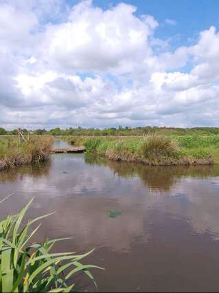 MARAIS DE LOIRE