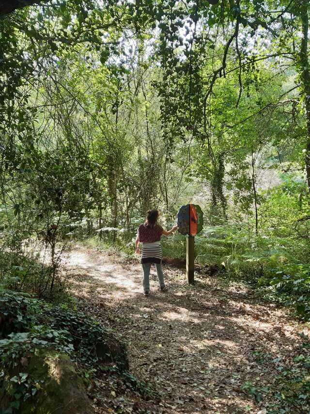 GR® DE PAYS SEVRE ET MAINE - BOUCLE DU VIGNOBLE