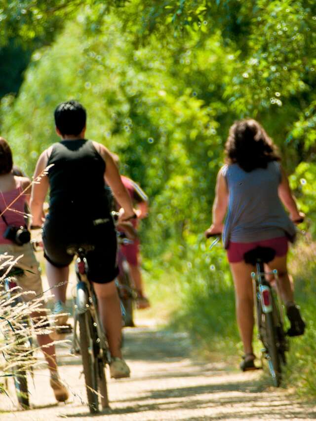 Boucle n°1 : Loir et vergers