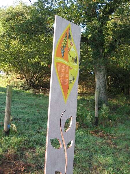 PARCOURS FAMILLE MURMURES DE ROCHERS « LE PETIT BOTANISTE »