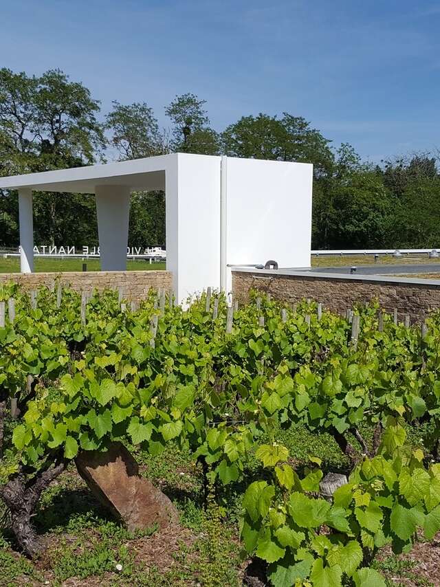 VÉLIDÉALE -ITINERAIRE 3 LE PALLET - CLISSON