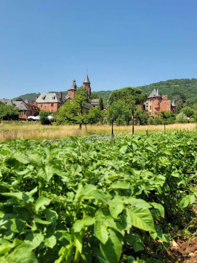 Visite du Potager au Maraîcher