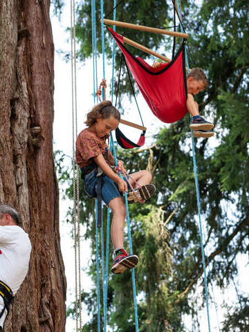 Atelier initiation à la "grimpe d'arbre"