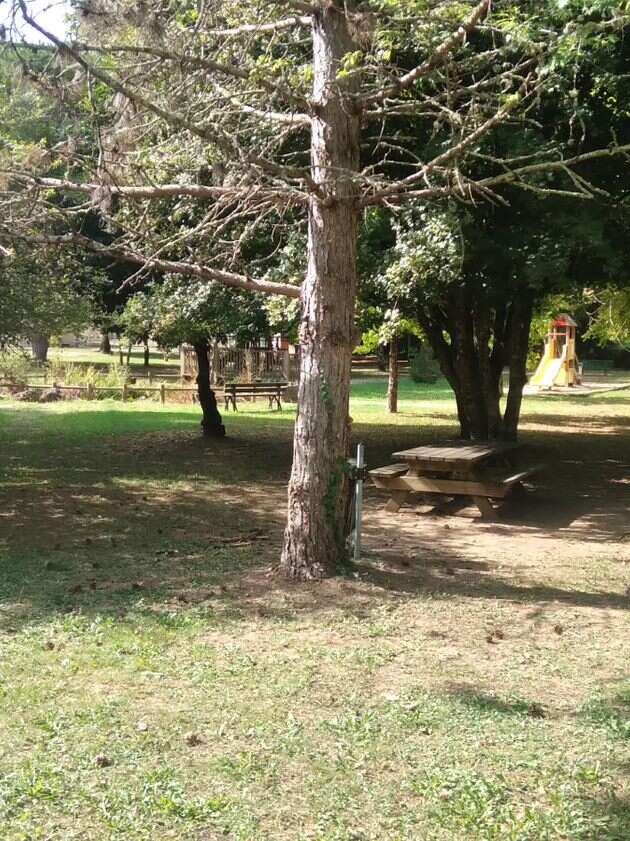 Aire de Pique-Nique de l'Arboretum