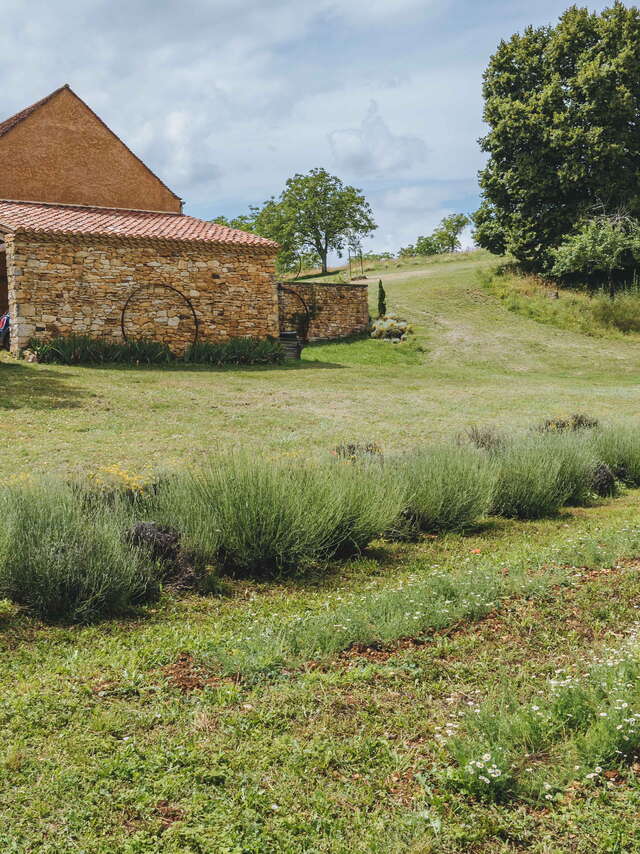 Les Producteurs en Herbes