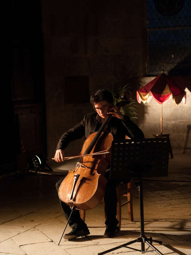 Rencontres de Violoncelle de Bélaye