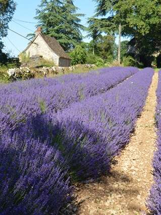 Ferme des Alix