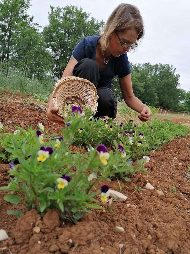 Les jardins du Mas de Greil