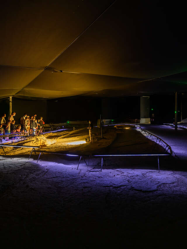 La Plage aux Ptérosaures