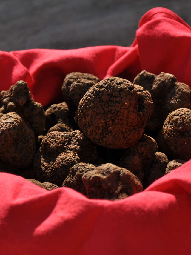 Fête de la truffe à Lalbenque