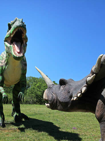 Préhisto-Dino Parc