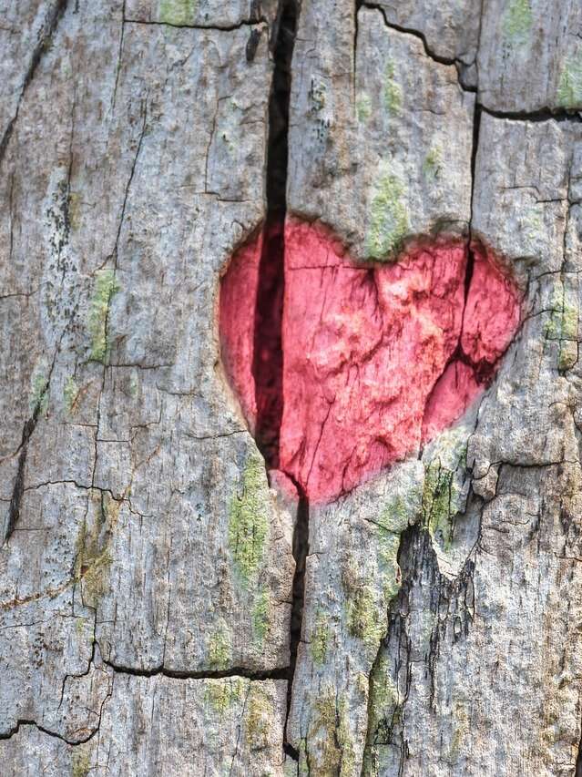 Repas de la Saint-Valentin à l'Évidence