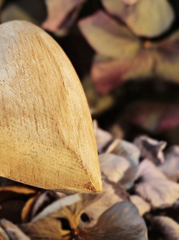 Dîner de la Saint-Valentin au Vigan, le Péché mignon