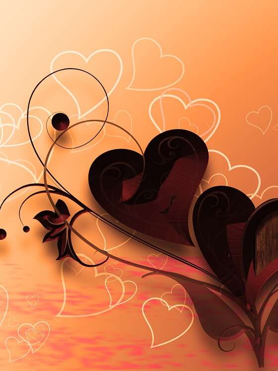 Dîner de la Saint-Valentin à Gourdon, Le Bellevue