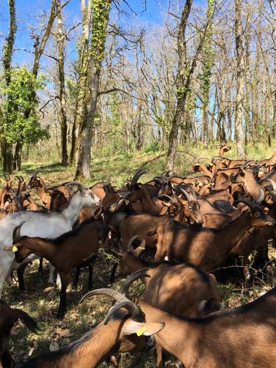 Ferme de Létou