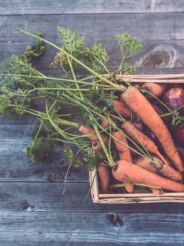 Marché estival des producteurs de Creysse