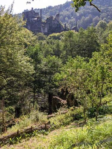Tours de Merle : visite guidée -  L'homme et la nature au Moyen-âge
