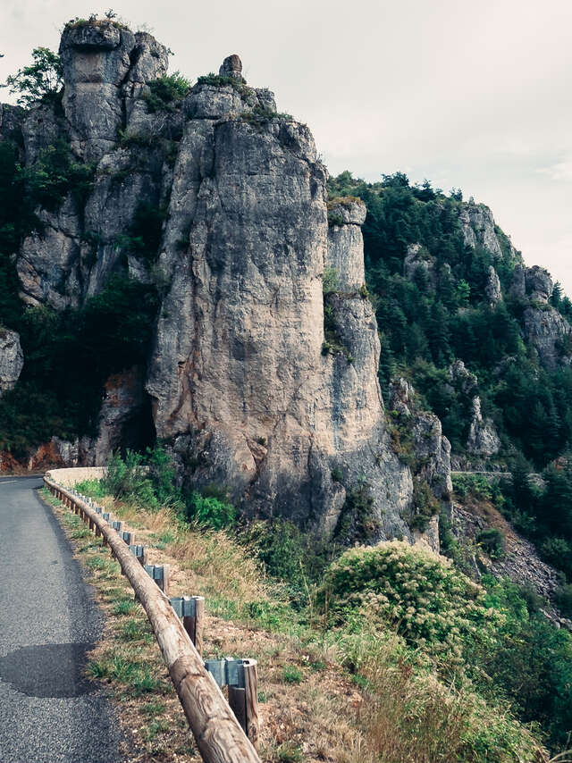DECOUVERTE DU MONT AIGOUAL