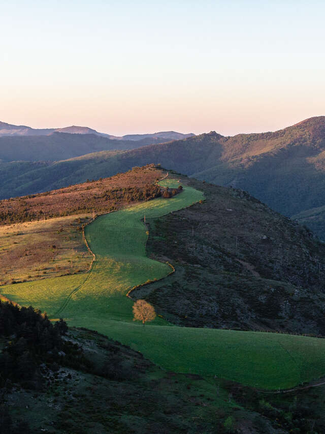 CORNICHE DES CEVENNES