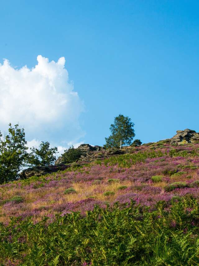 CAUSSES ET CEVENNES : PATRIMOINE DE L'UNESCO