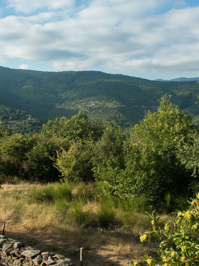AU COEUR DES CEVENNES