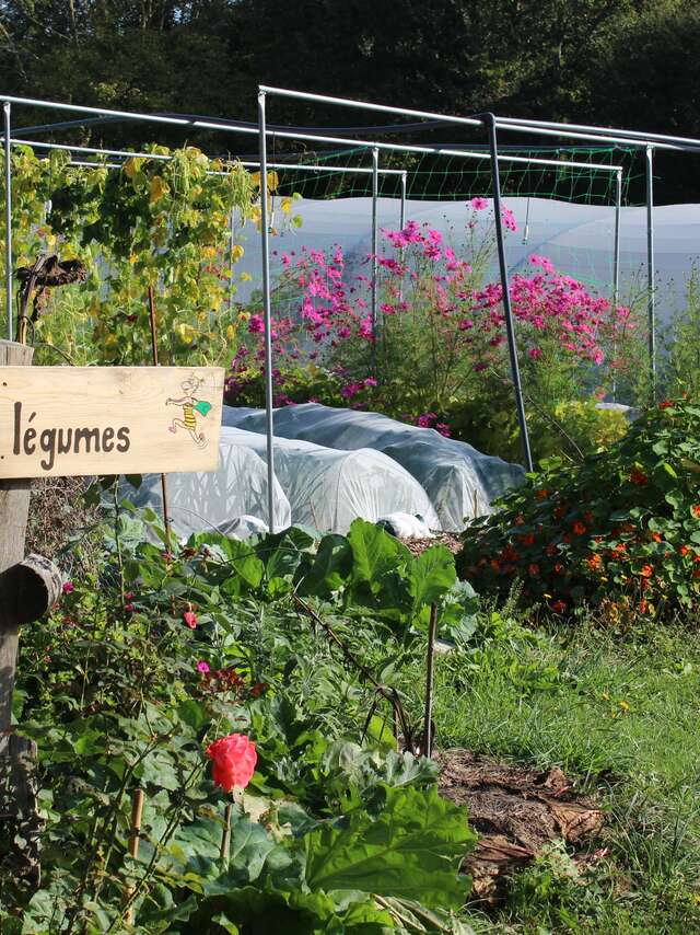 FANE DE LÉGUMES