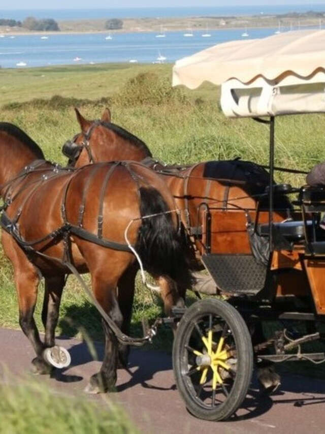 Balade en calèche, descente sur la plage