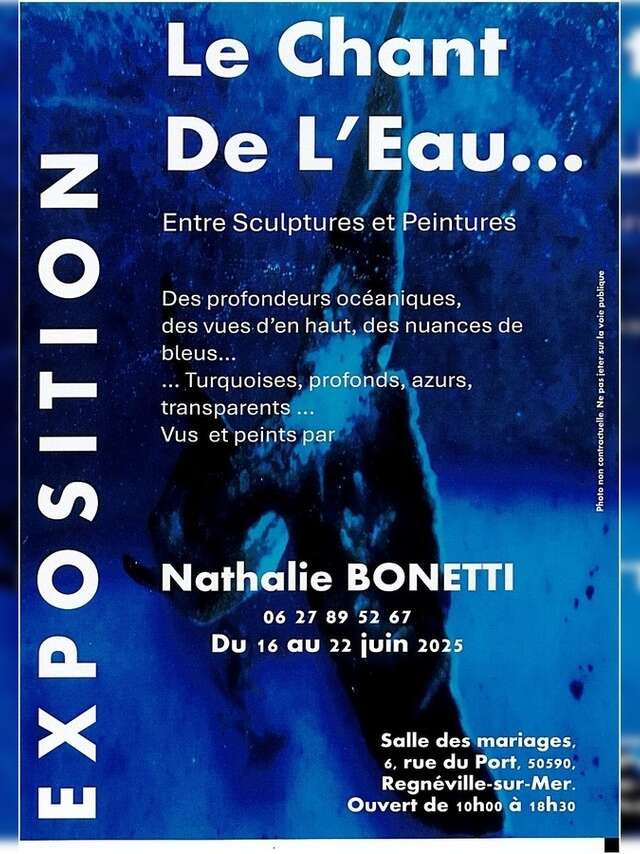 Exposition : Nathalie Bonetti