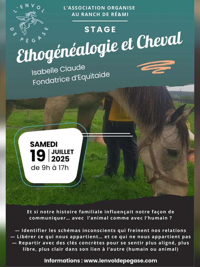 Stage Ethogénéalogie et cheval