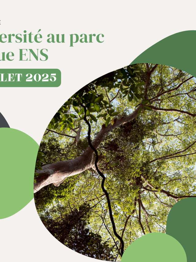Biodiversité au parc l'Evêque ENS