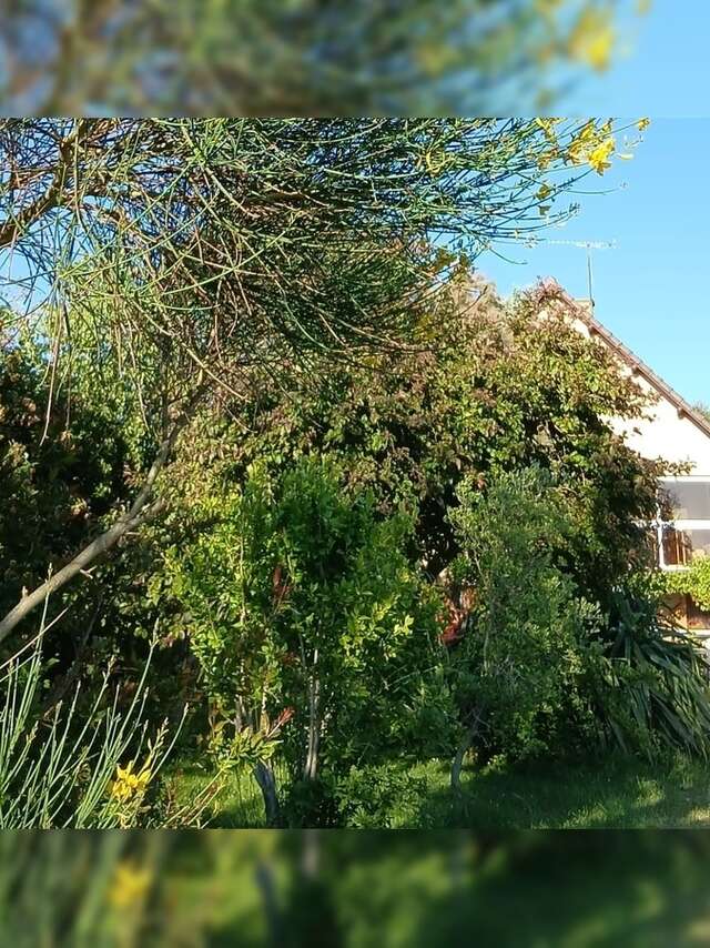 Bulle de nature : un moment de reconnexion à la nature avec tous vos sens