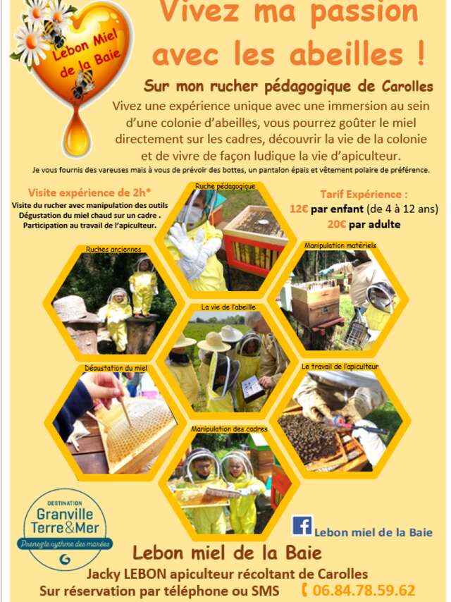 Vivez ma passion avec les abeilles !