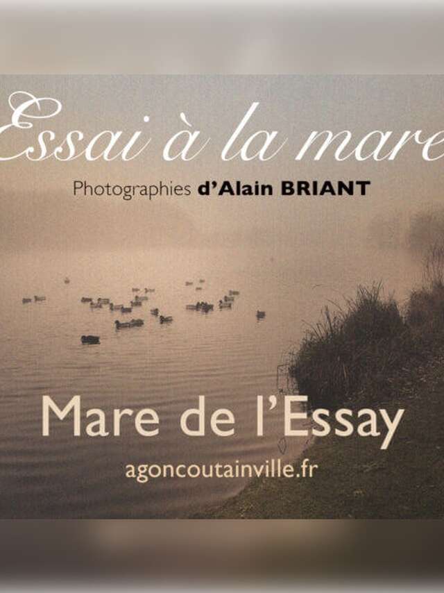 Photographe, Alain Briant "Essai à la mare"