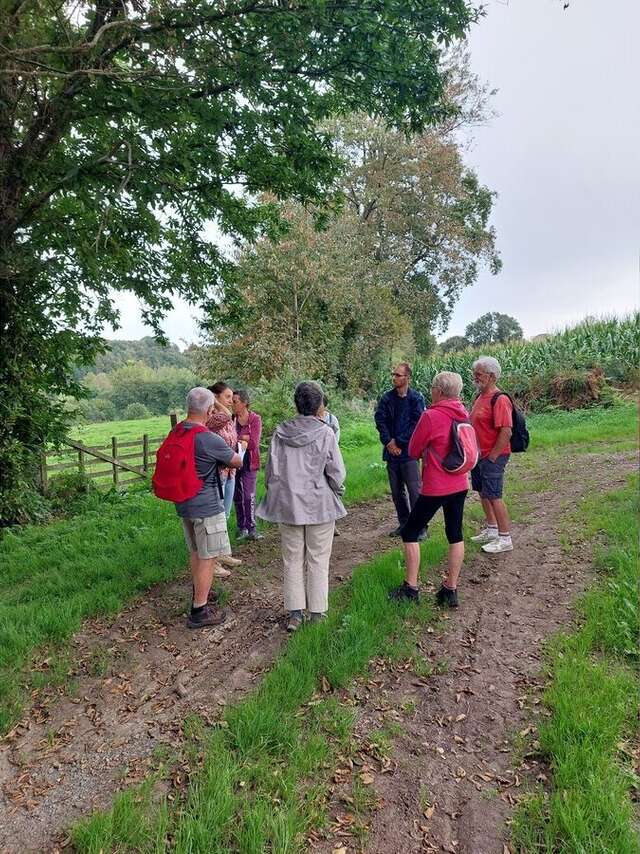 Trésor de paysage : à la découverte du bocage