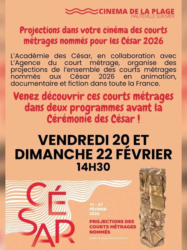 Projection de courts métrages nommés