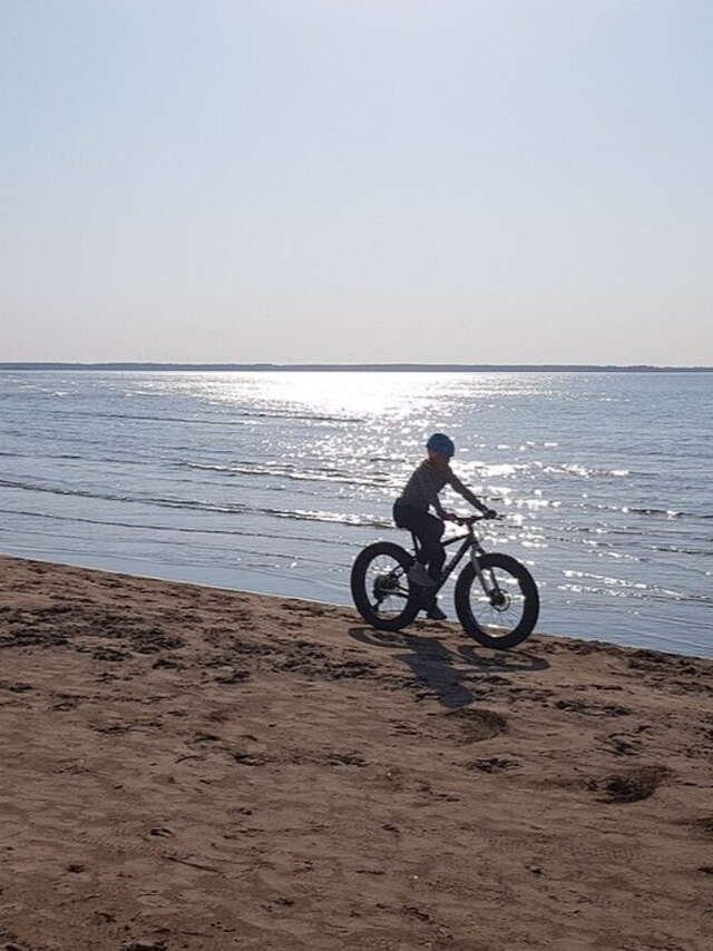 Circuit accompagné en fat bike électrique : découverte du patrimoine et dégustation de produits locaux