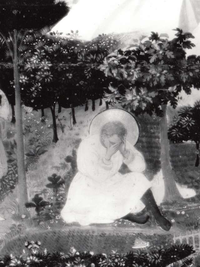 Sortie de résidence Romaric Hardy, résidence d'artistes des Fours à Chaux