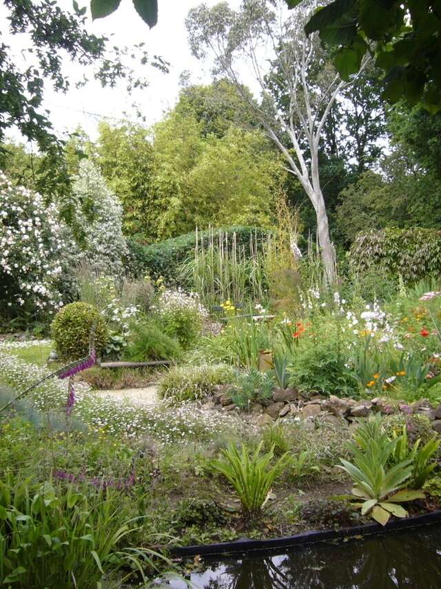 Visite accompagnée du jardin du Revers