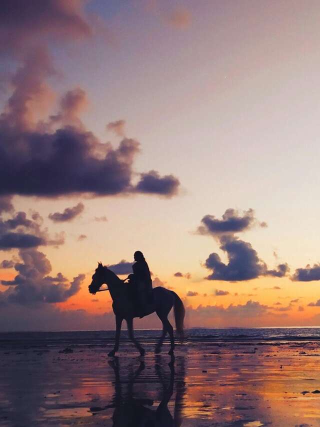 Promenade à cheval au coucher de soleil - débutant