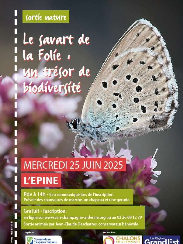Le Savart de la Folie : un trésor de biodiversité