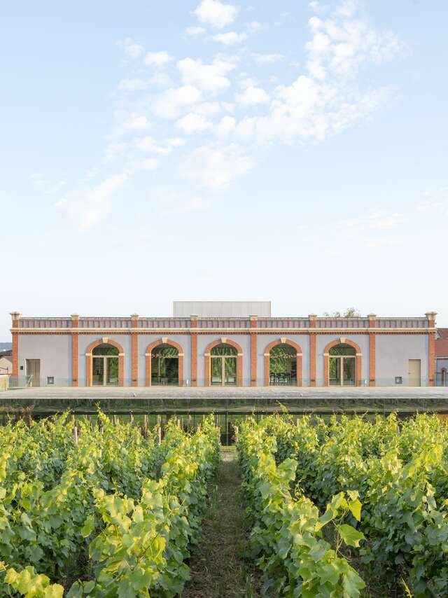 Vignobles en Scène : Animations inédites et experiences immersives chez Pressoria
