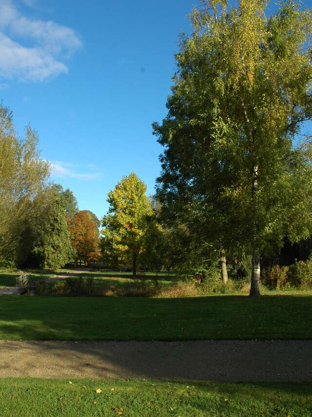 Fête de l'Abeille, du miel et de la biodiversité