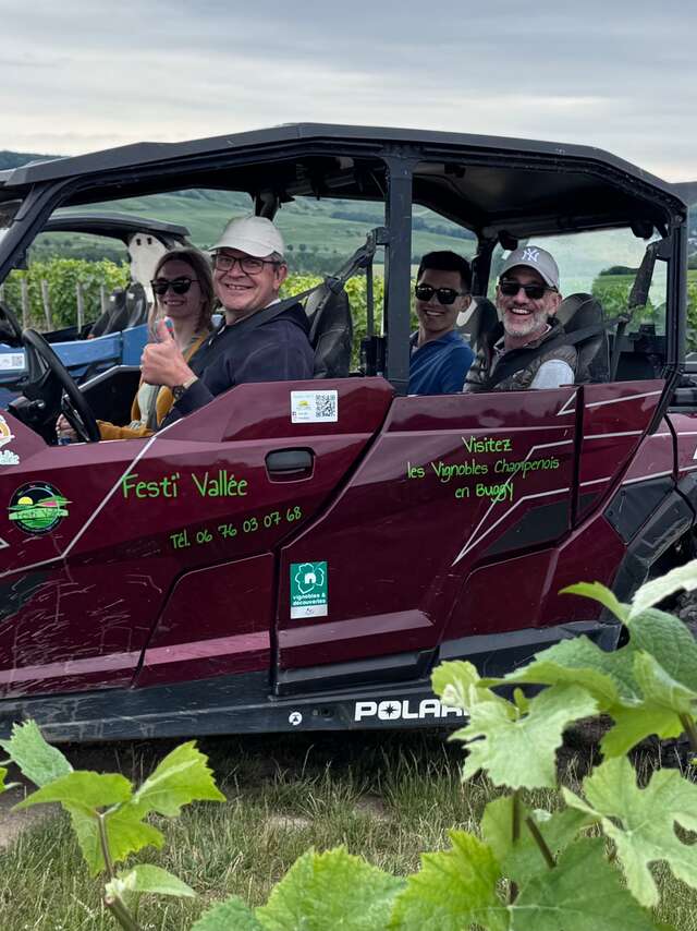 Vignobles en Scène : Les vignobles historiques en Buggy