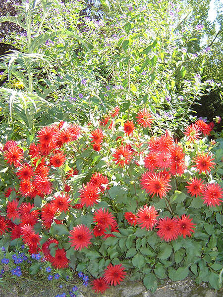 Fête Nature et Culture