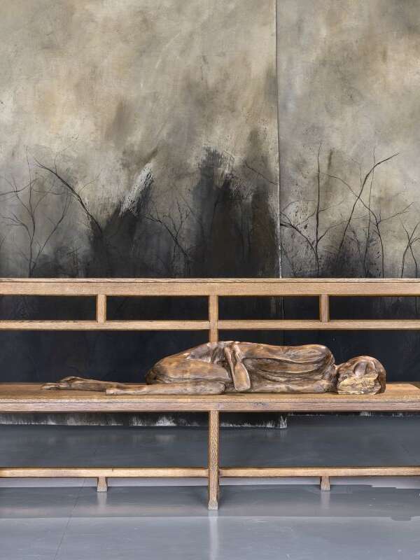 Exposition : Pauline Lucas